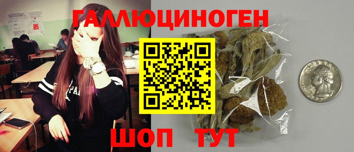 Псилоцибиновые грибы мицелий  Галлюциногенные грибы мицелий  Вход с VPN  Топки 